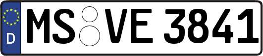 MS-VE3841