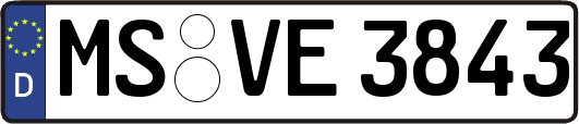 MS-VE3843
