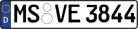 MS-VE3844