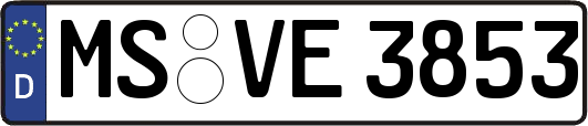 MS-VE3853