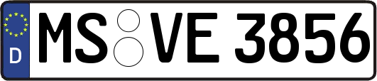 MS-VE3856