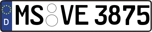 MS-VE3875