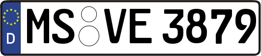MS-VE3879