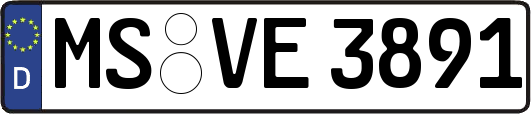 MS-VE3891