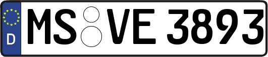 MS-VE3893