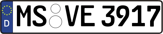 MS-VE3917