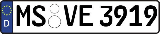 MS-VE3919
