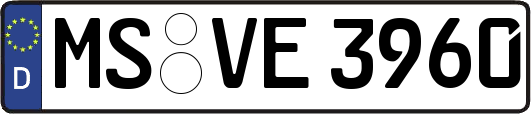 MS-VE3960