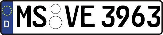 MS-VE3963