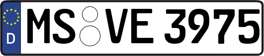 MS-VE3975