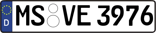 MS-VE3976