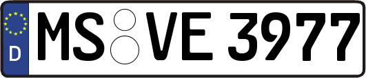 MS-VE3977