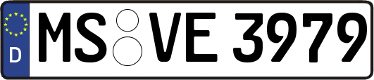 MS-VE3979