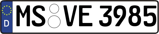 MS-VE3985