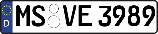 MS-VE3989