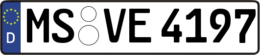 MS-VE4197