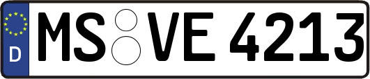 MS-VE4213