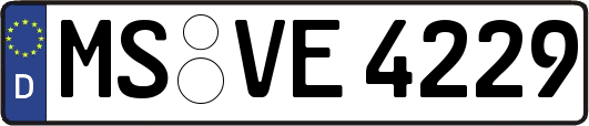 MS-VE4229