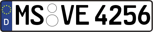 MS-VE4256