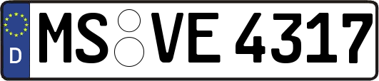 MS-VE4317