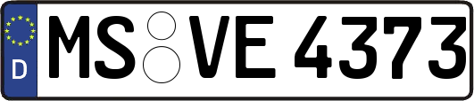 MS-VE4373