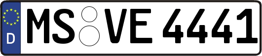 MS-VE4441