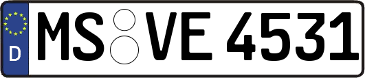 MS-VE4531
