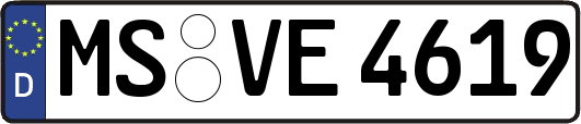 MS-VE4619