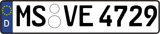 MS-VE4729