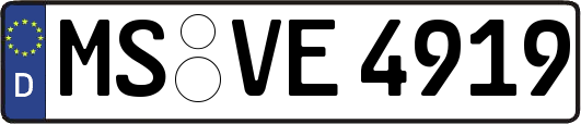 MS-VE4919