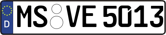 MS-VE5013