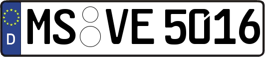 MS-VE5016