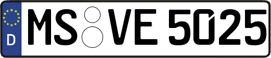 MS-VE5025