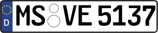 MS-VE5137