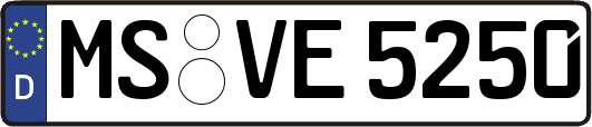 MS-VE5250