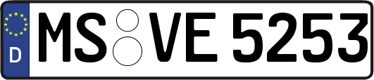 MS-VE5253