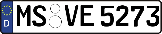 MS-VE5273