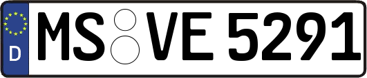 MS-VE5291