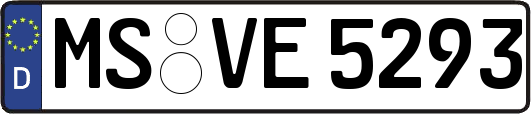 MS-VE5293