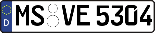 MS-VE5304