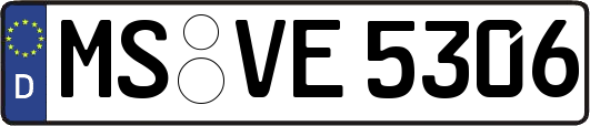 MS-VE5306