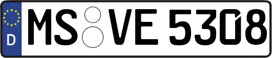 MS-VE5308