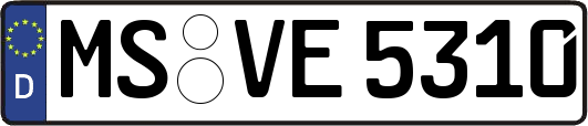 MS-VE5310