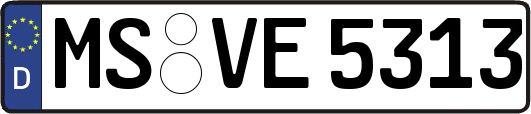 MS-VE5313