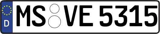 MS-VE5315