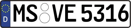 MS-VE5316