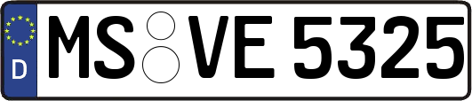 MS-VE5325