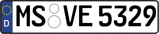 MS-VE5329