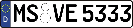 MS-VE5333