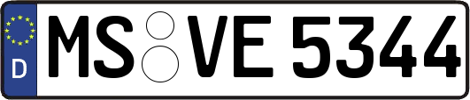 MS-VE5344